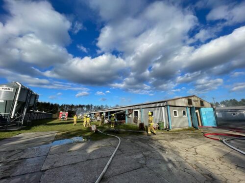 pożar gospodarstwa, świętokrzyskie, Kolonia Grzybów, straż pożarna, gowin, pomorze