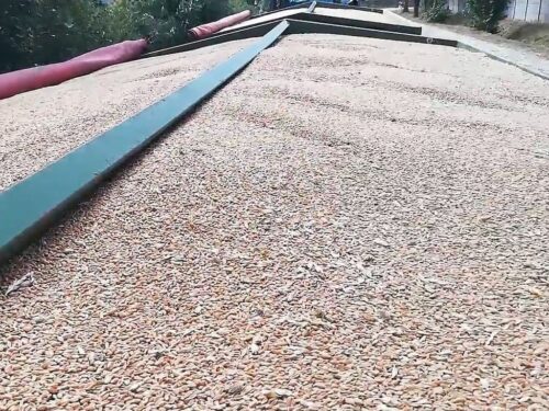 krir, samorząd rolniczy, skup zbóż, dopłaty