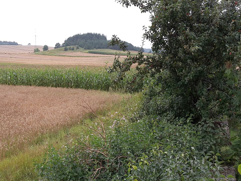 irwł, łódzkie, samosiejki, samorząd rolniczy, dopłaty