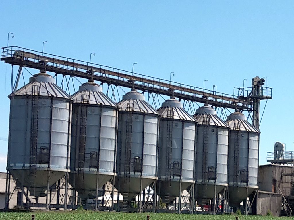 skup zbóż, ceny zbóż, irwł, samorząd rolniczy, dopłaty do zbóż