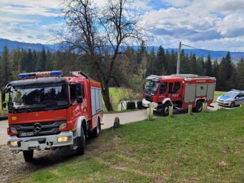 mszana dolna, prace leśne, wypadek w lesie, wycinka drzew