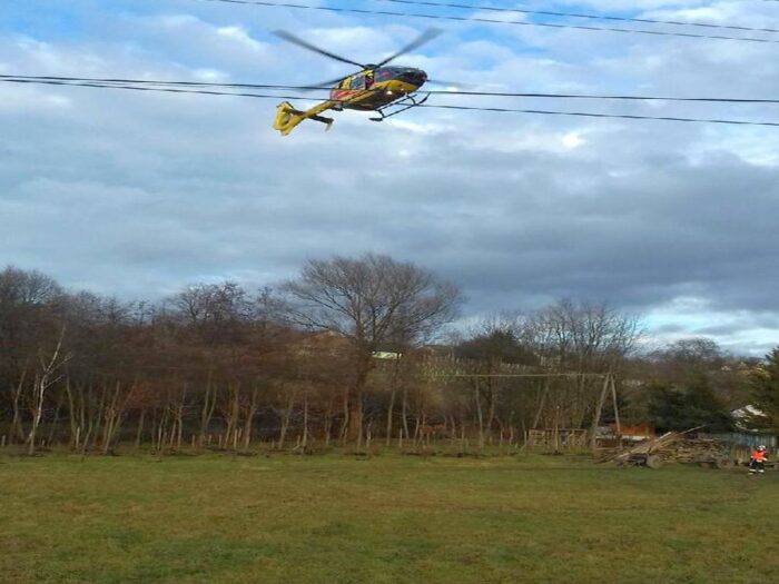 wycinka drzew, wypadek przy wycince, kmp tarnów, powiat tarnowski