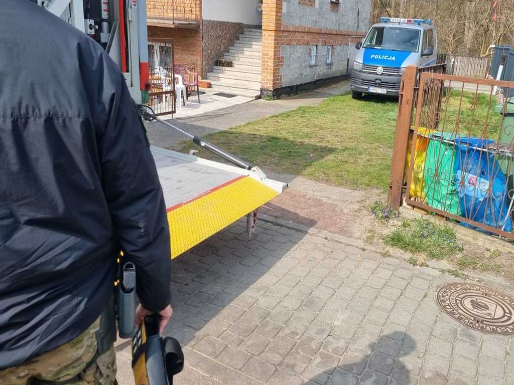 kpp nowy dwór gdański, krynica morska, trotyl, prace ogrodowe