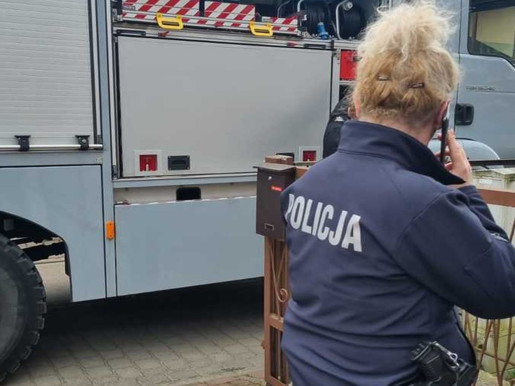 kpp nowy dwór gdański, krynica morska, trotyl, prace ogrodowe