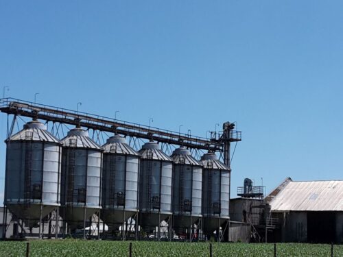 krir, samorząd rolniczy, ministerstwo rolnictwa, import zbóż, zboże z ukrainy