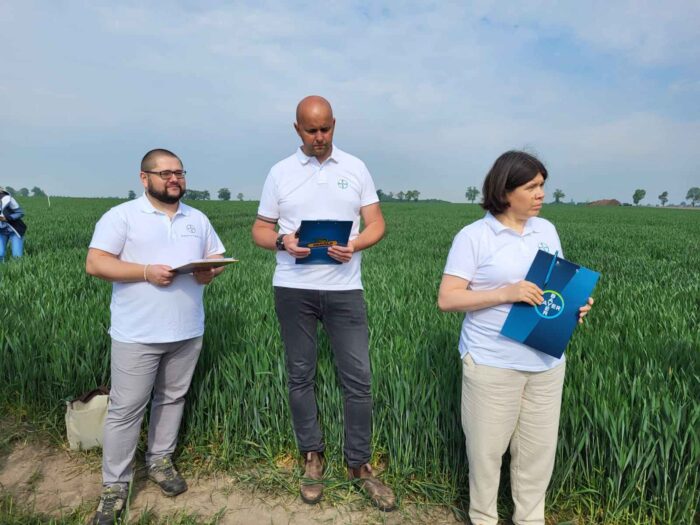 bayer, sławkowo