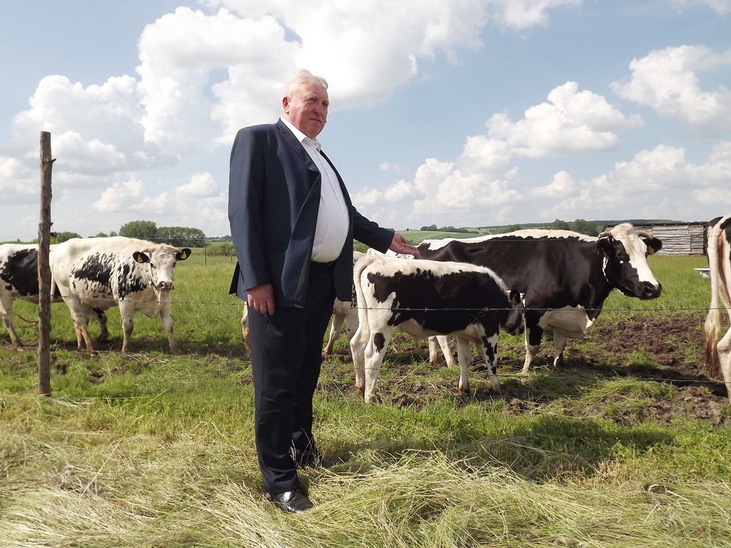 białogrzbiety, bydło białogrzbiete, I Krajowa Wystawa Bydła Białogrzbietego, rasy zachowawcze Zygmunt Litwińczuk