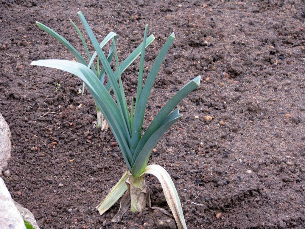 bionawozy, naukowcy, uniwersytet rzeszowski, innowacje