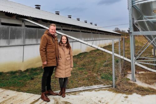 tuczniki, trzoda chlewna, tucz kontraktowy, Agri Plus, żywiec wieprzowy, chlewnia, tuczarnia, budowa chlewni, tucz