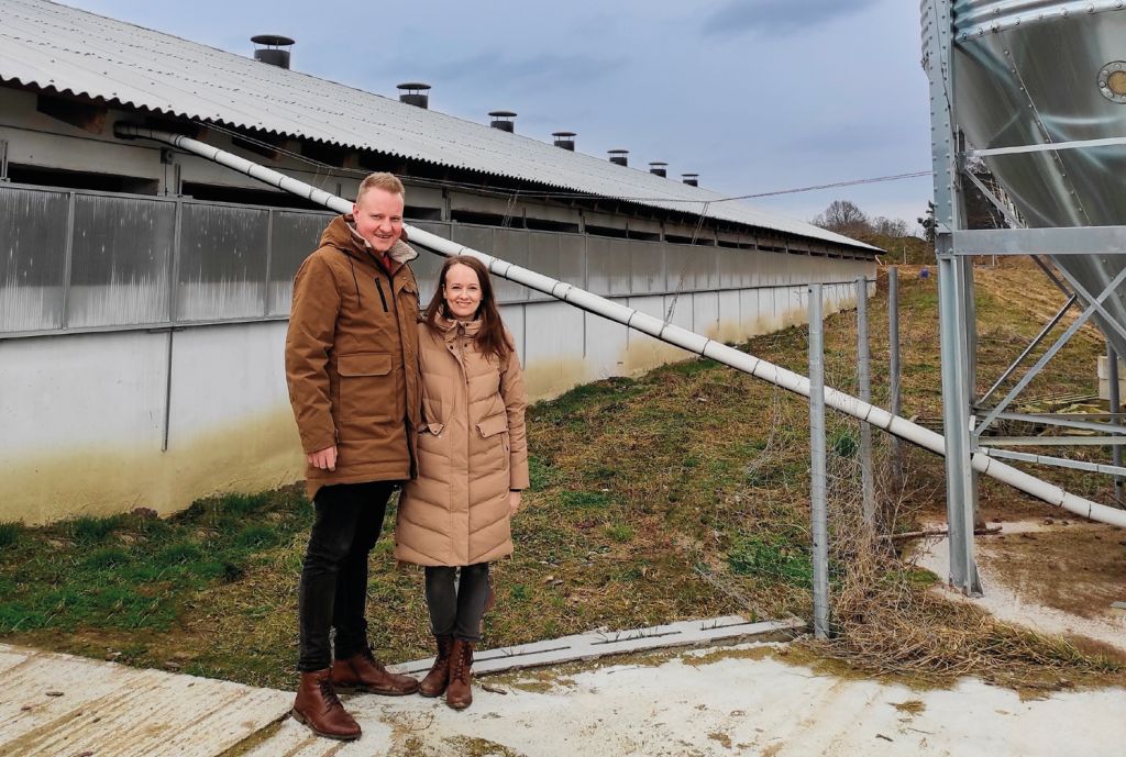tuczniki, trzoda chlewna, tucz kontraktowy, Agri Plus, żywiec wieprzowy, chlewnia, tuczarnia, budowa chlewni, tucz