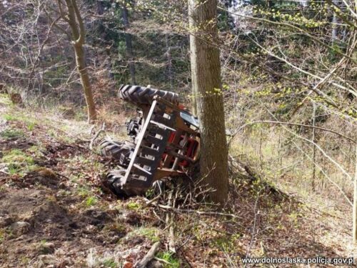 kpp kłodzko, ciągnik, ciągnik w lesie, lądek-zdrój