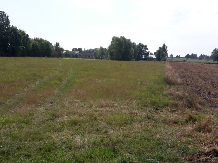 lubelska izba rolnicza, lir, czynsz dzierżawny, państwowa ziemia, kowr
