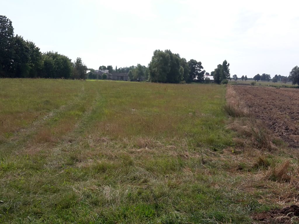 lubelska izba rolnicza, lir, czynsz dzierżawny, państwowa ziemia, kowr