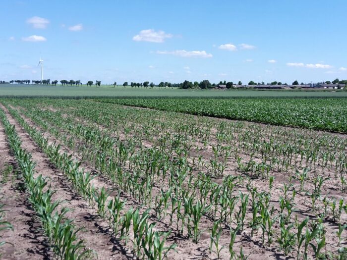 uprawa zmianowanie gaec 7 ministerstwo rolnictwa