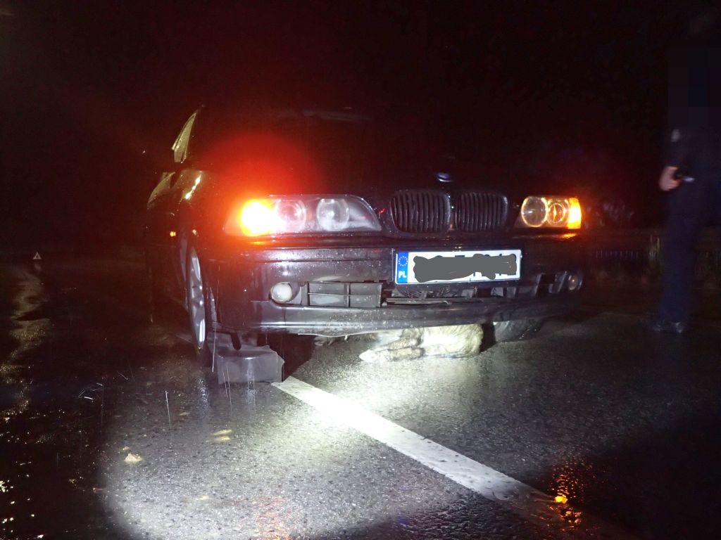 kp psp przasnysz, łoś, łosica, dzik, kp psp starachowice