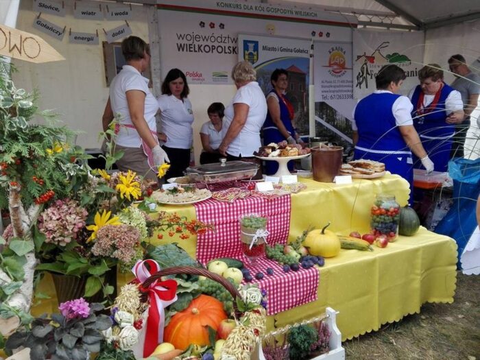 kgw, koła gospodyń, gospodynie wiejskie, granty, fundacja kgs