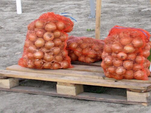 kowalski, kontraktacja, produkty rolne, przetwórcy, skup