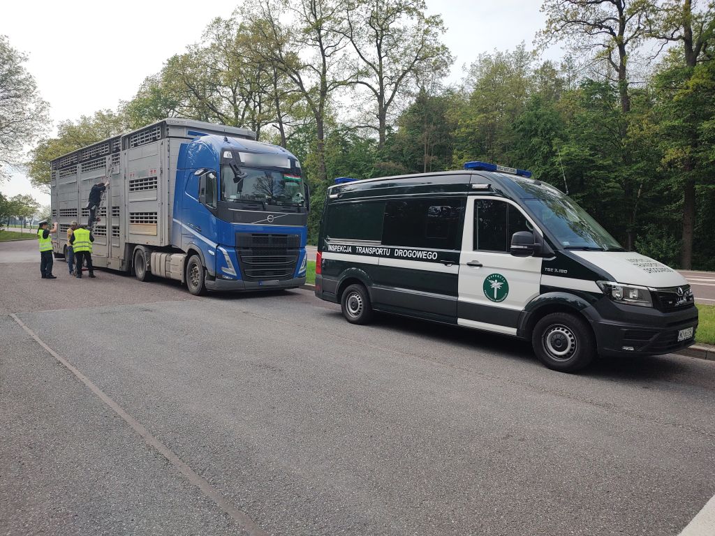 itd, lubelskie, kontrole, przewóz zwierząt