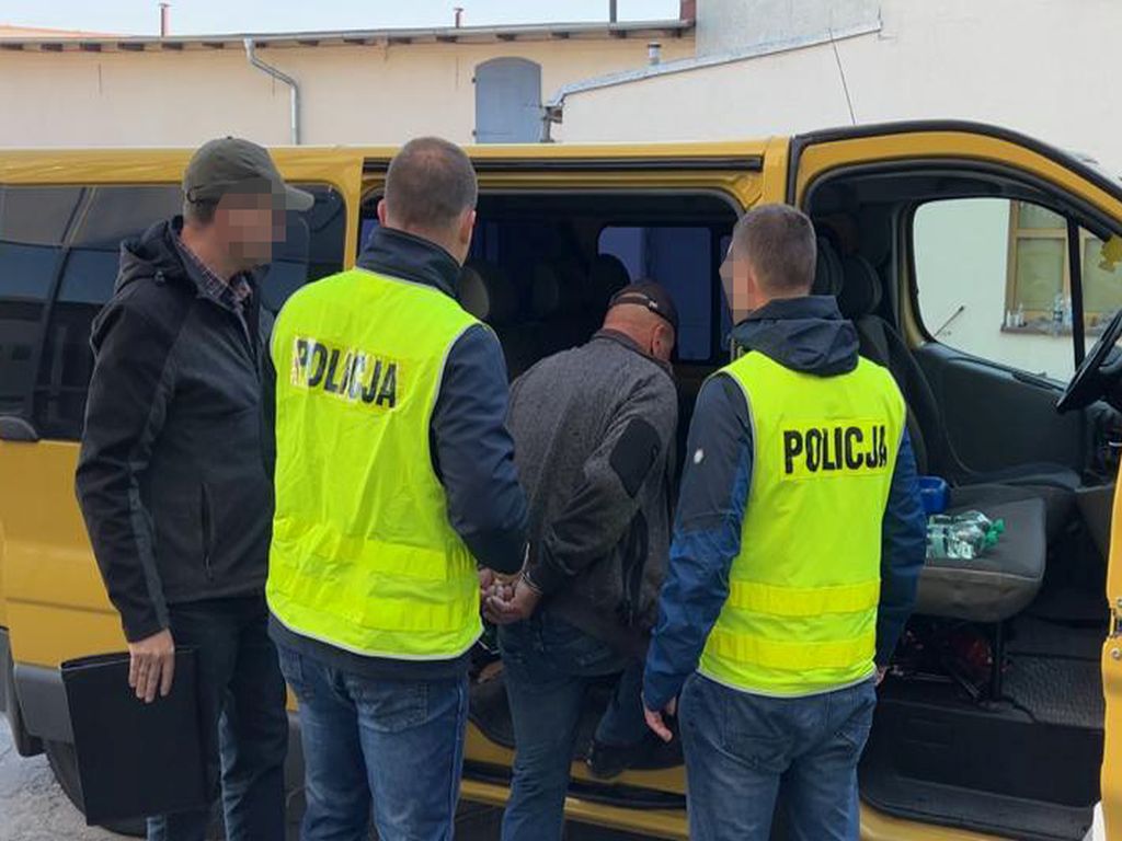 kpp żnin, jezioro tonowskie, kormorany, pisklęta, gniazda