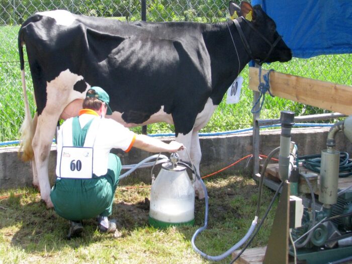 mleczarstwo, związek polskich przetwórców mleka, przetwórcy mleka, mleko, fundusz ochrony rolnictwa