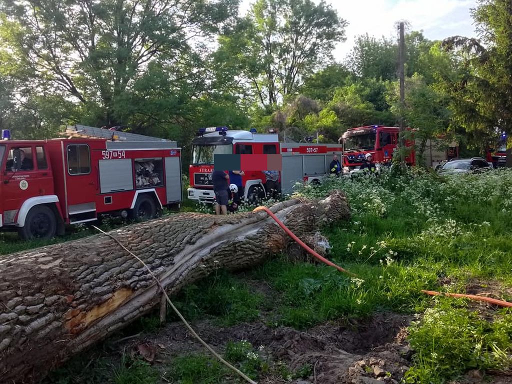 kp psp przasnysz, pożar, iskra, wydech, bydło
