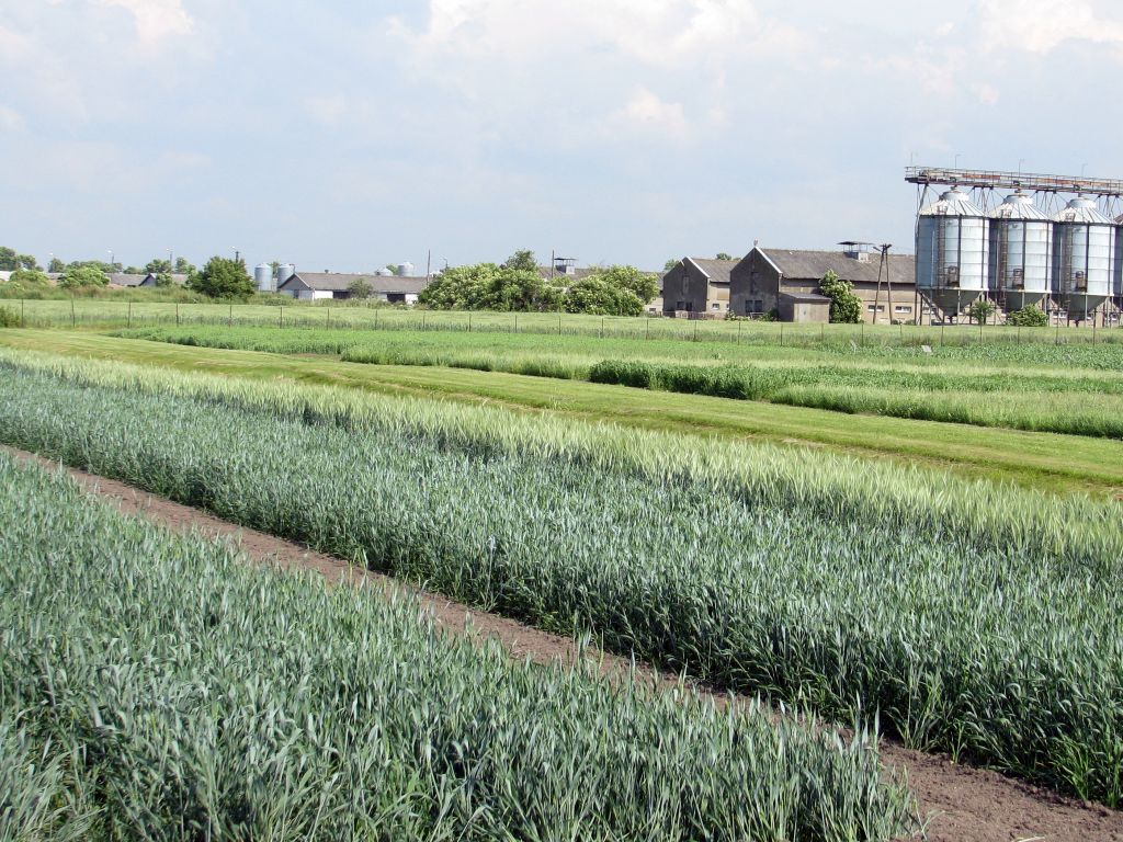 przepisy, ukraina, sejm, ustawa, premier