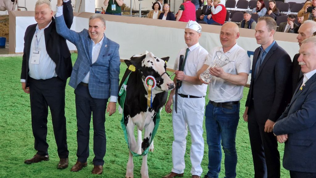 XXX Narodowa Wystawa Zwierząt Hodowlanych, bydło mleczne, bydło mięsne, czempion, superczempion, krowy, jałówki, buhaje