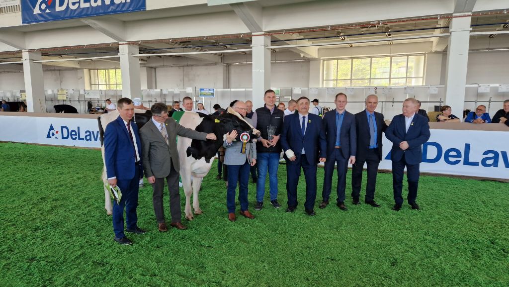 XXX Narodowa Wystawa Zwierząt Hodowlanych, bydło mleczne, bydło mięsne, czempion, superczempion, krowy, jałówki, buhaje