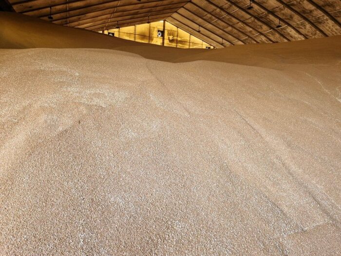 zboże, skup, minister rolnictwa, telus, spichlerze