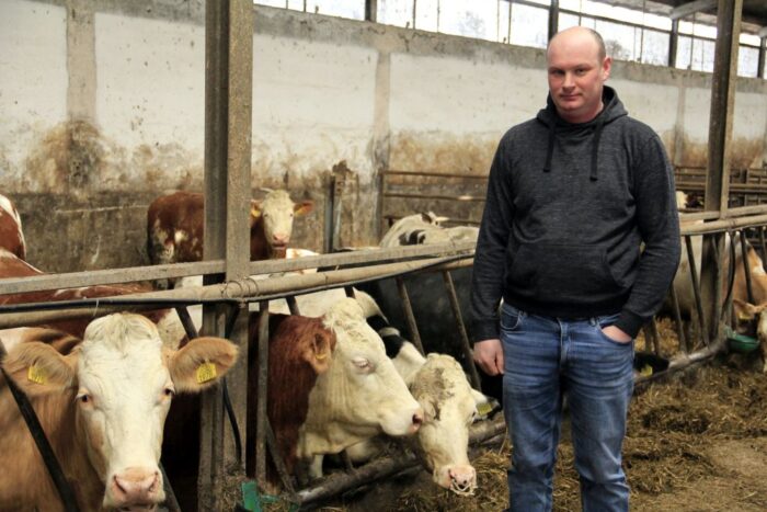 Zielone Mleko, produkcja serów dojrzewających o podwyższonej wartości odżywczej.