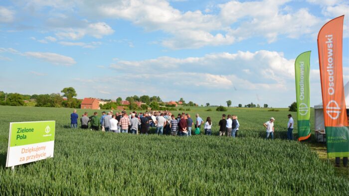 osadkowski, zielone pola