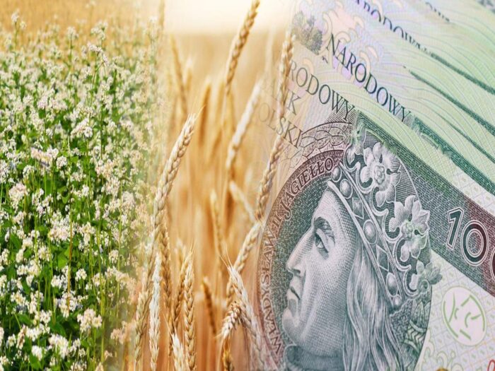 arimr, wsparcie, pszenica, gryka, nabór, wnioski