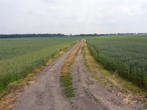 nowelizacja rozporządzenia, prow, scalanie gruntów, beneficjenci