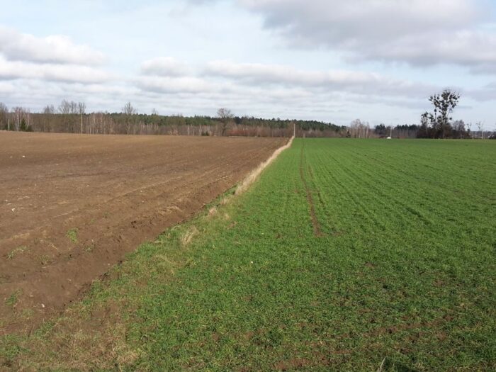 lubelska izba rolnicza, lir, samorząd rolniczy, uprawy na ugorze, zazielenienie, dopłaty, zboże