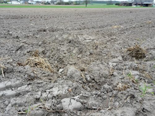 arimr, agencja, dopłaty, ekoschematy, zmiany, rolnictwo węglowe