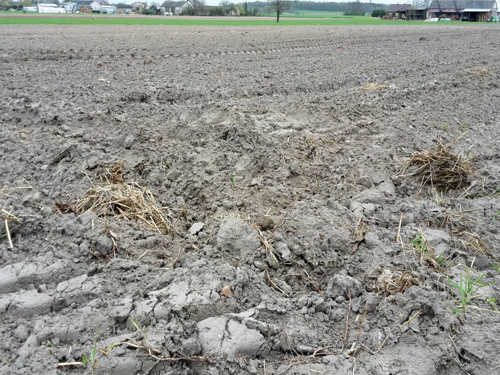 arimr, agencja, dopłaty, ekoschematy, zmiany, rolnictwo węglowe