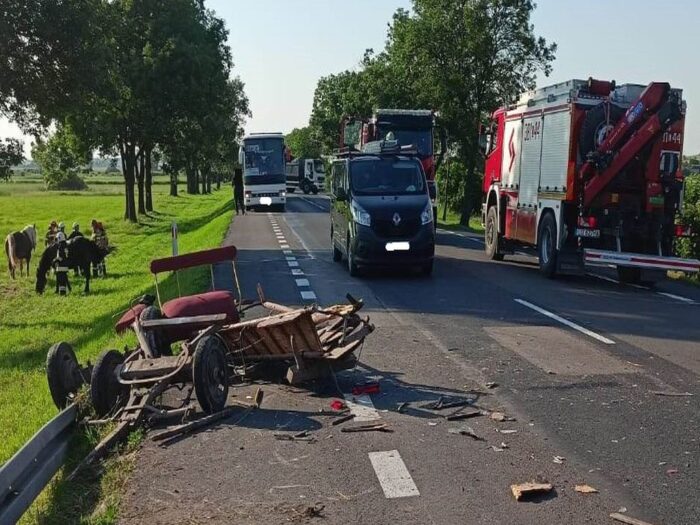 kmp zamość, km psp zamośc, wypadek, zaprzęg, furmanka, woźnica, zderzenie