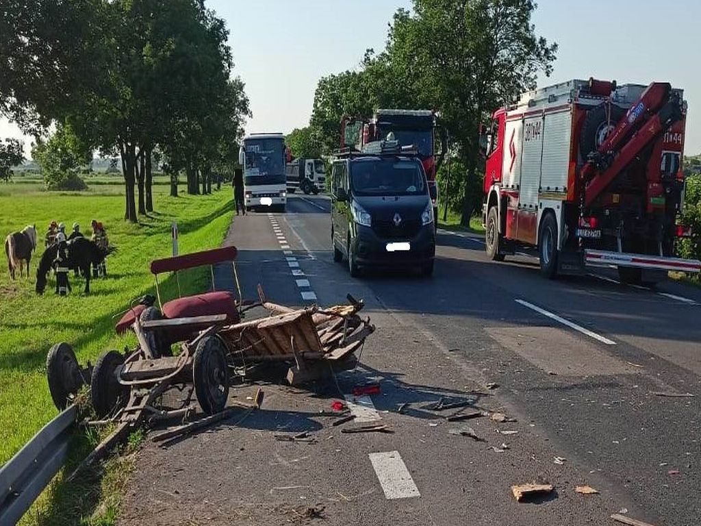 kmp zamość, km psp zamośc, wypadek, zaprzęg, furmanka, woźnica, zderzenie