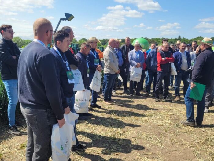 Agro-Sieć, Grubno, Mistrzowskie Pola