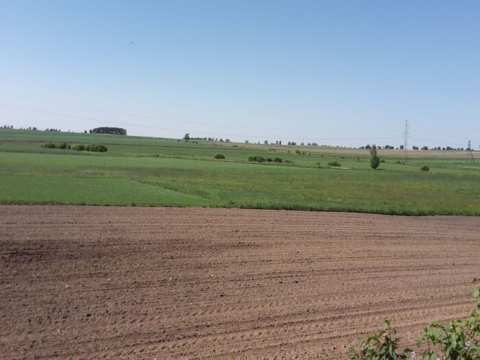 kowr, prokuratura, przetarg, ziemia, grunty