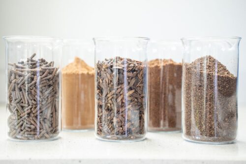 HiProMine, owady, białko owadów, karmy dla zwierząt, białko zwierzęce, białko,