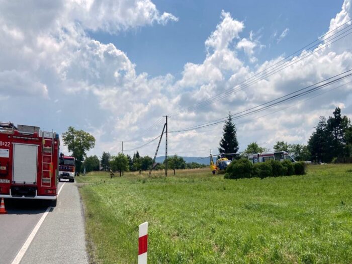 osp tymowa, wypadek, obsługa zwierząt, kopnięcie, koń, lpr