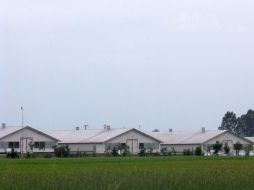 sejm, podkomisja, kurniki, budowa, drób, konie, rejestr