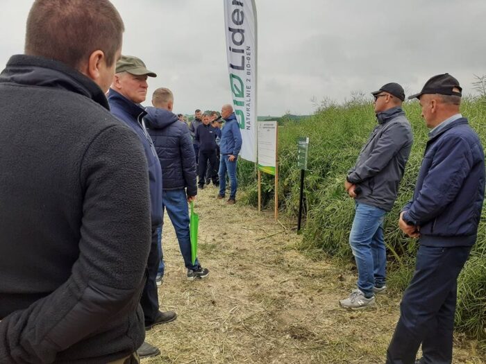 Procam, Dzień Pola, Łężyce