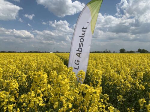 Procam, rzepak, LG Absolut