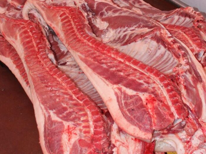 labfarm, hodowla, rośliny, mięso komórkowe, komórki