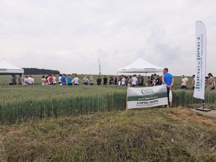 Skwierczyn Lacki, Ampol-Merol, warsztaty polowe