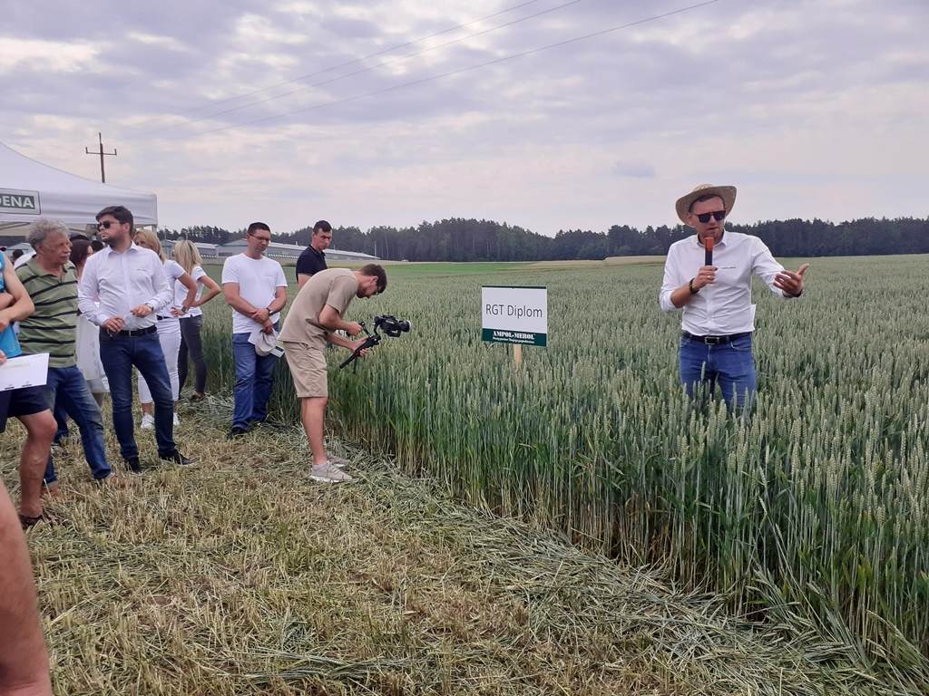 Skwierczyn Lacki, Ampol-Merol, warsztaty polowe
