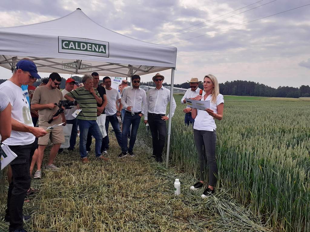 Skwierczyn Lacki, Ampol-Merol, warsztaty polowe