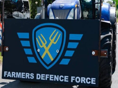 holandia, protest, rolnicy, polityka, rząd, hodowle